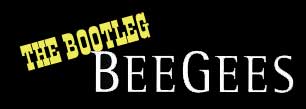 The Bootleg Bees Gees - a brilliant tribute band