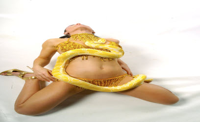 Seffi - snake dancer and handler for walkabouts