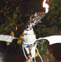 robotic fire breathing dragon  from circusperformers.co.uk and Auroras Carnival